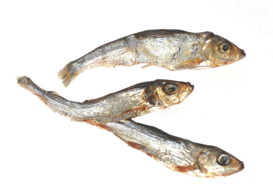 Plato Baltic Sprat 3oz
