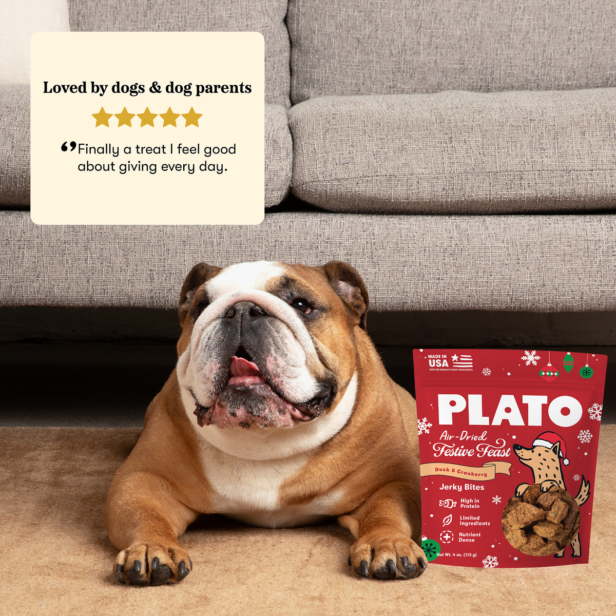 Plato Pet Treats Holiday Feast Duck With Cranberry Jerky Dog Treat 4oz