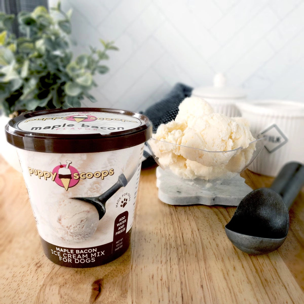 Puppy Cake Scoops Ice Cream Mix Maple Bacon Pint Large 4.65oz