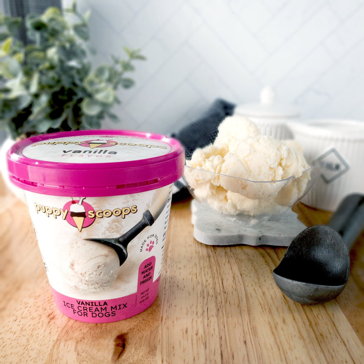 Puppy Cake Scoops Ice Cream Mix Vanilla Pint Large 4.65oz