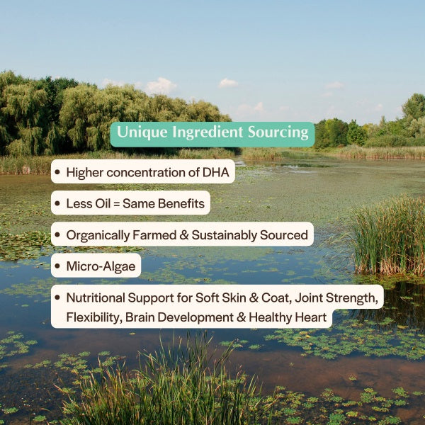 Pet Releaf Rituals Omega 3 Algae 2 oz pump