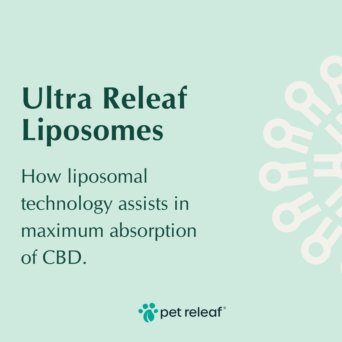 Pet Releaf Ultra Releaf 100mg Liposome Hemp Oil for Small Dogs & Cats