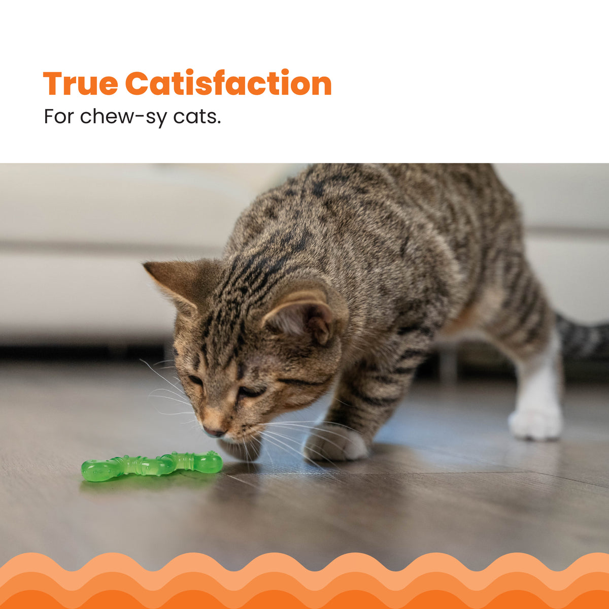 Catstages Orkakat Wiggle Worm Dental Catnip Cat Chew Toy