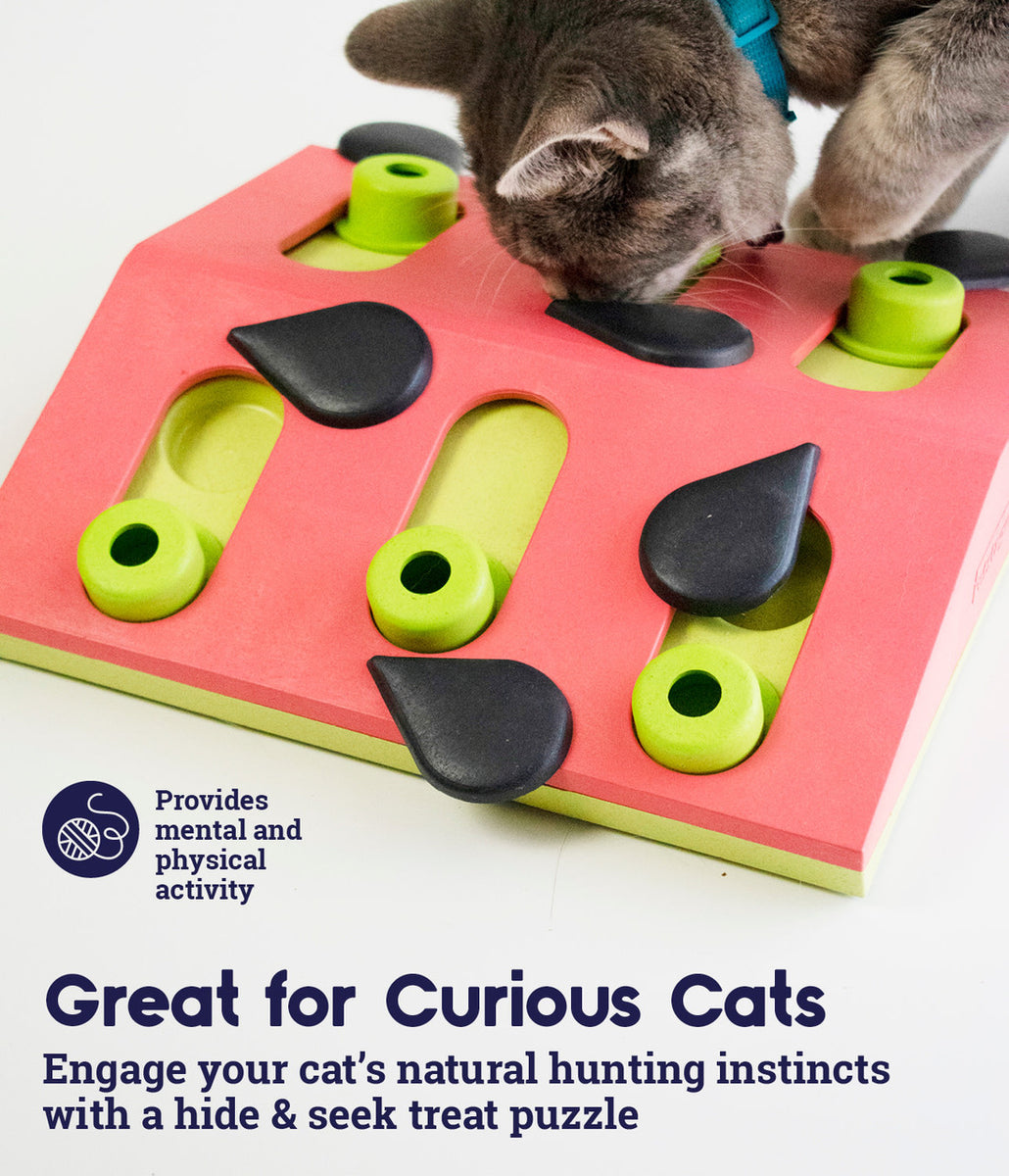 Catstages Melon Madness Puzzle Cat Toy Pink