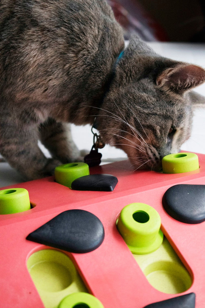 Catstages Melon Madness Puzzle Cat Toy Pink