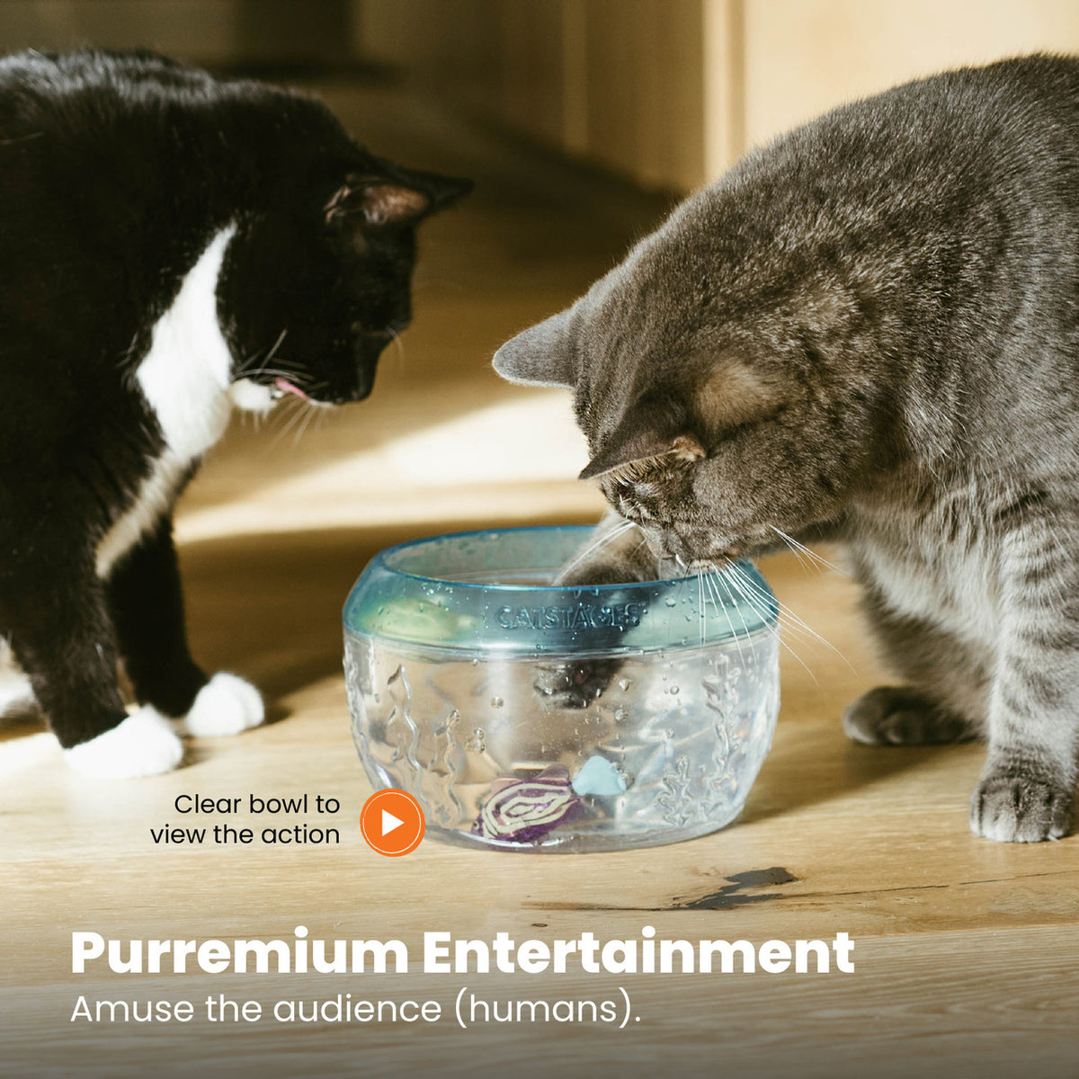 Catstages Meow-Smerizing Fish Bowl Cat Toy Blue