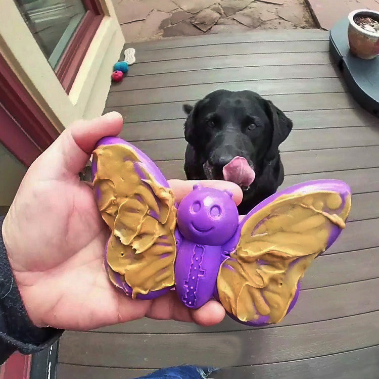 SodaPup Nylon Butterfly Durable Dog Chew Toy Purple 6.75"