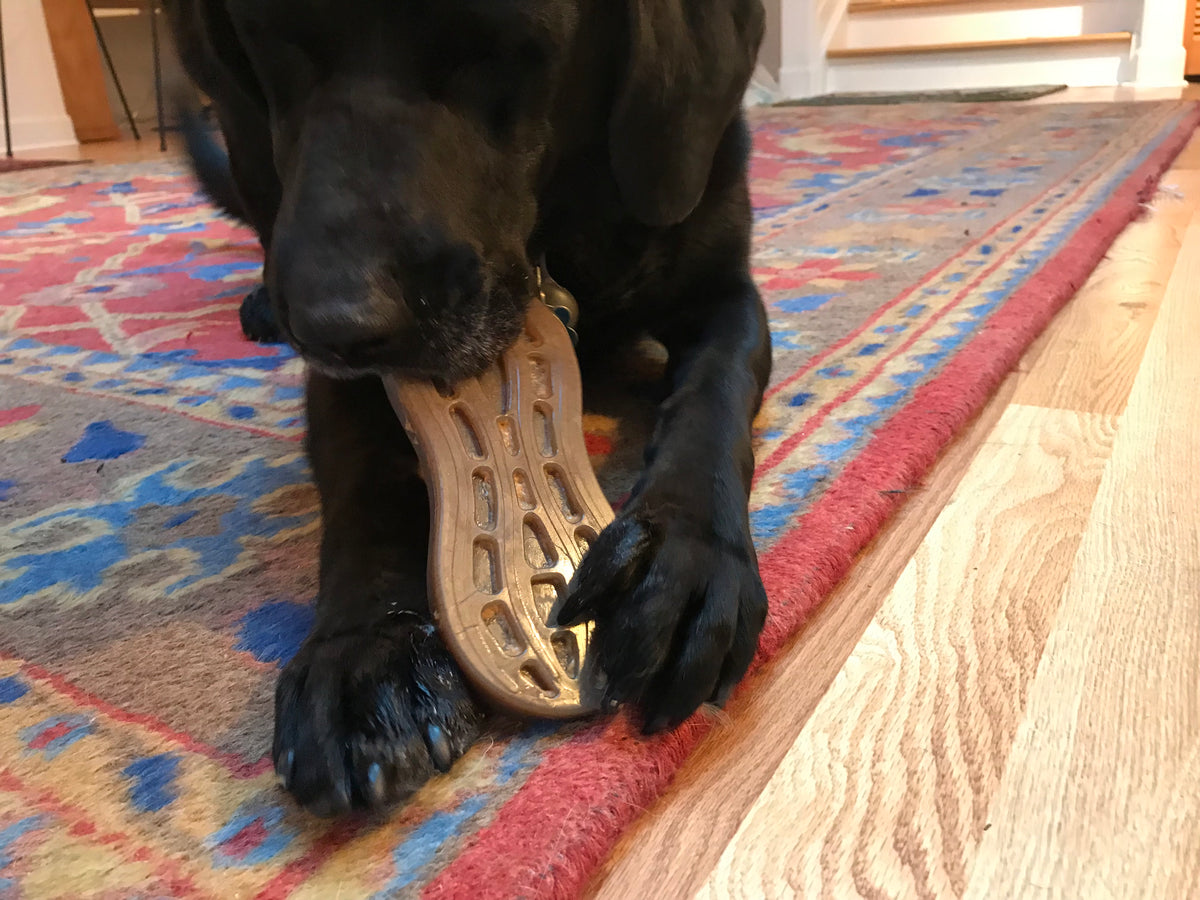 SodaPup Nylon Peanut Ultra Durable Dog Chew Toy Brown 7"