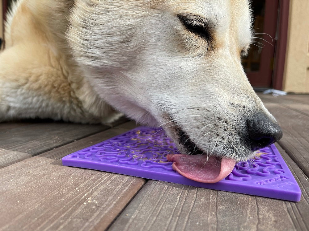SodaPup TPE eMat Enrichment Lick Mat Bones Purple Large 8"