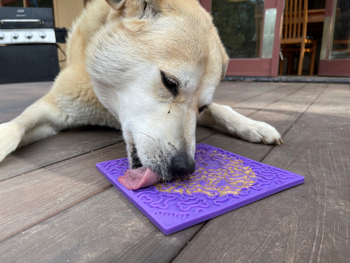 SodaPup TPE eMat Enrichment Lick Mat Bones Purple Large 8"