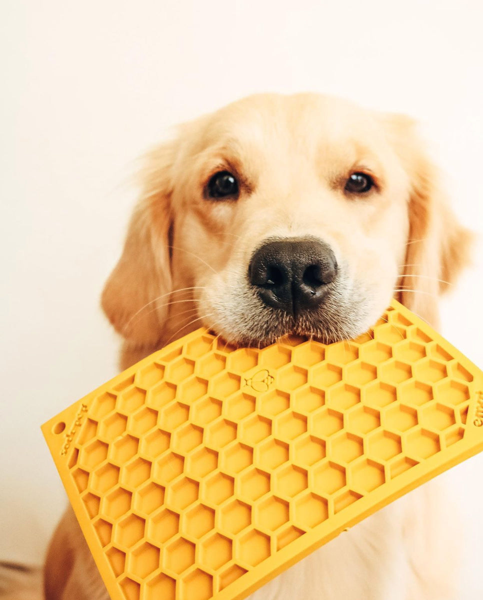 SodaPup TPE eMat Enrichment Lick Mat Honeycomb Yellow Large 8"