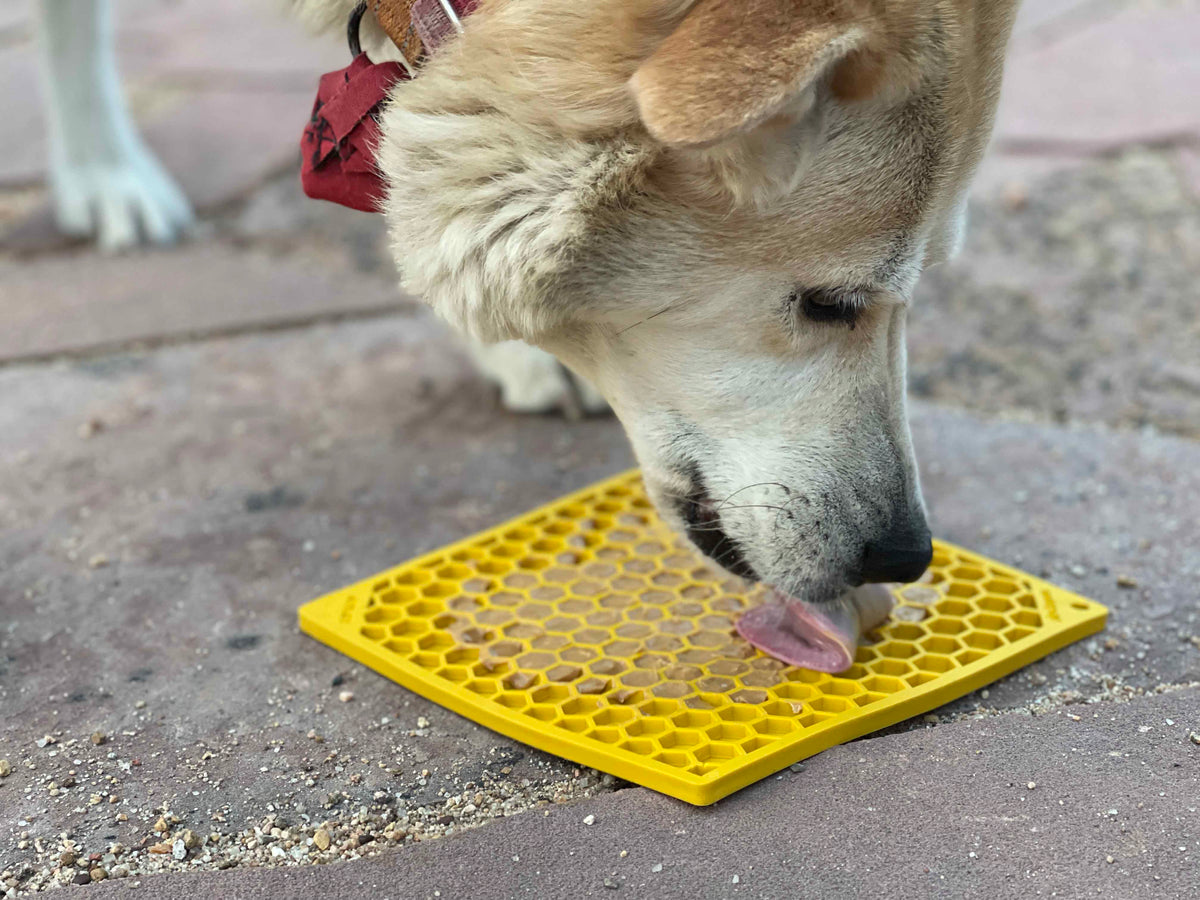 SodaPup TPE eMat Enrichment Lick Mat Honeycomb Yellow Large 8"