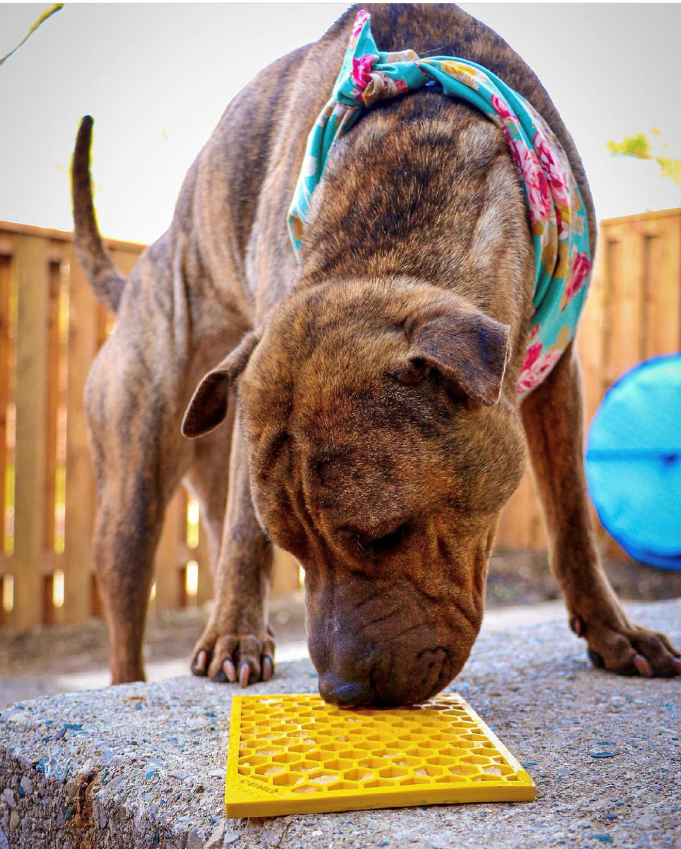 SodaPup TPE eMat Enrichment Lick Mat Honeycomb Yellow Small 5"