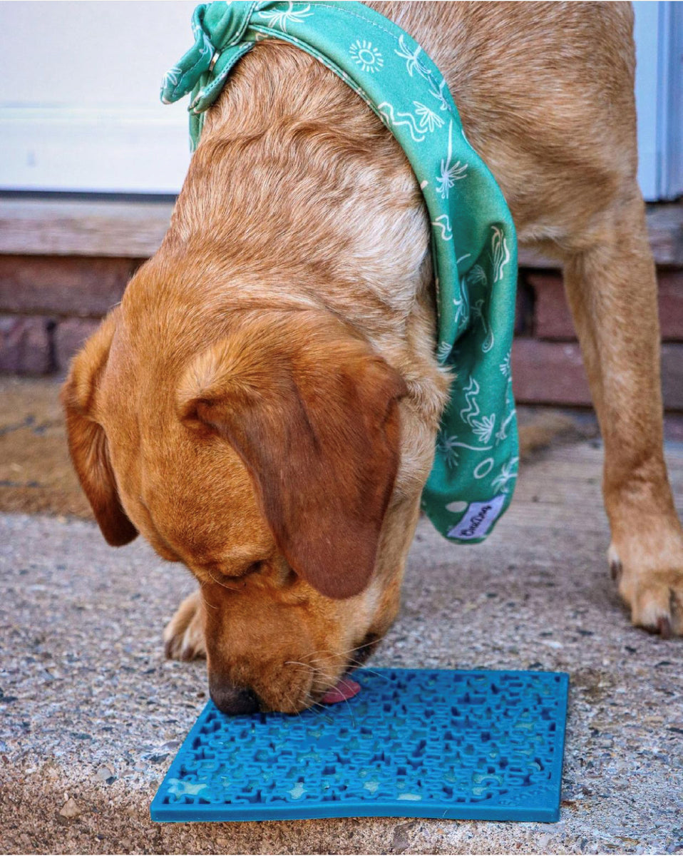 SodaPup TPE eMat Enrichment Lick Mat Jigsaw Blue Large 8"