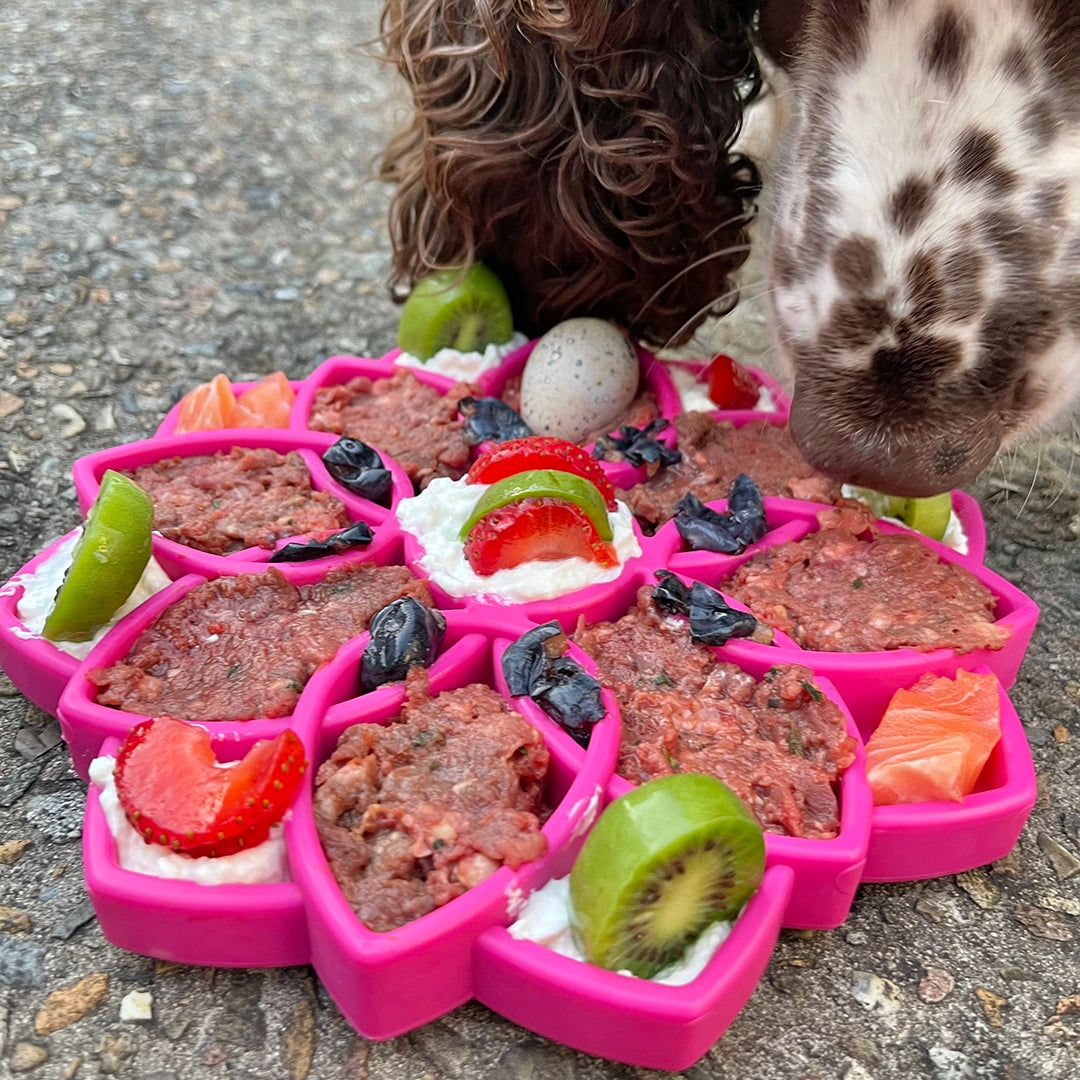 SodaPup Mandala eTray Enrichment Feeder for Dogs Pink 8"