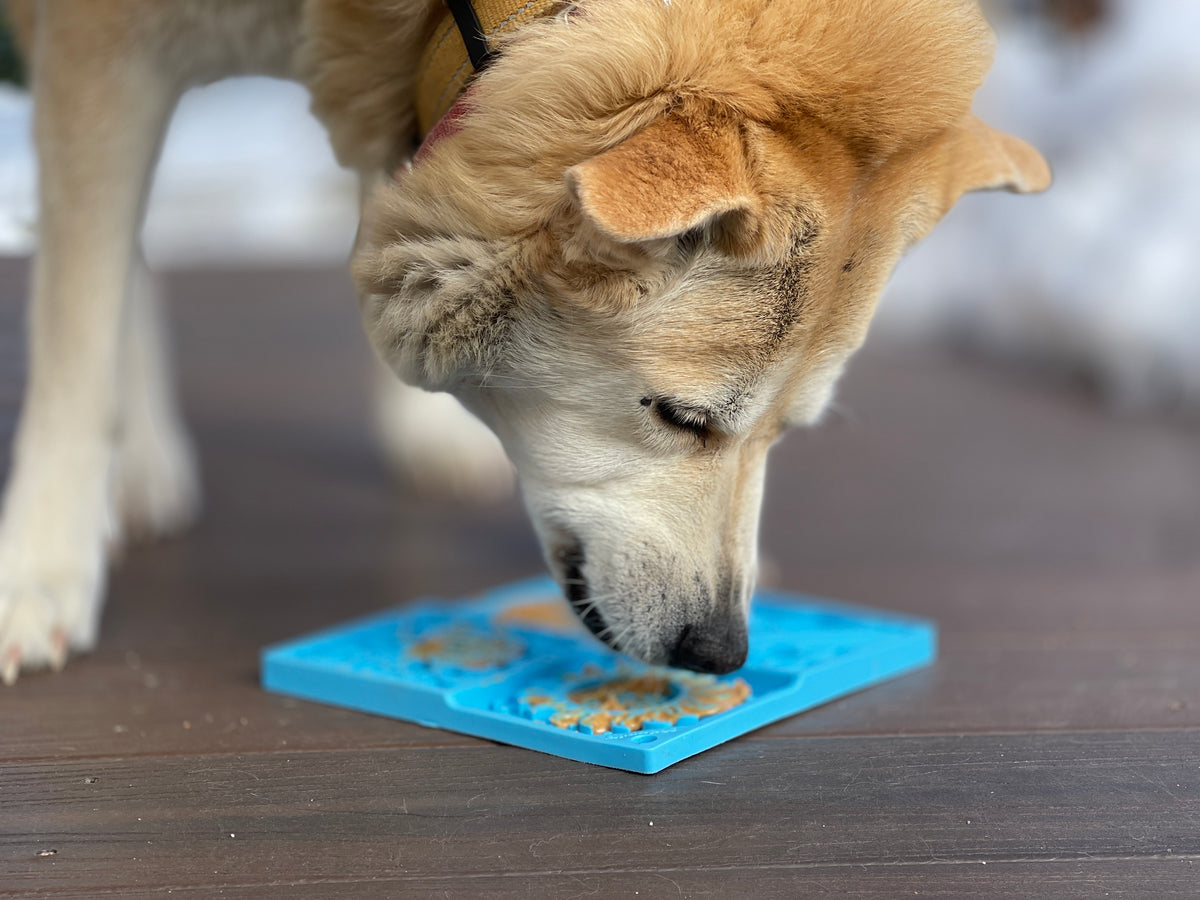 SodaPup eMat Enrichment Lick Mat Sky Light Blue 8"
