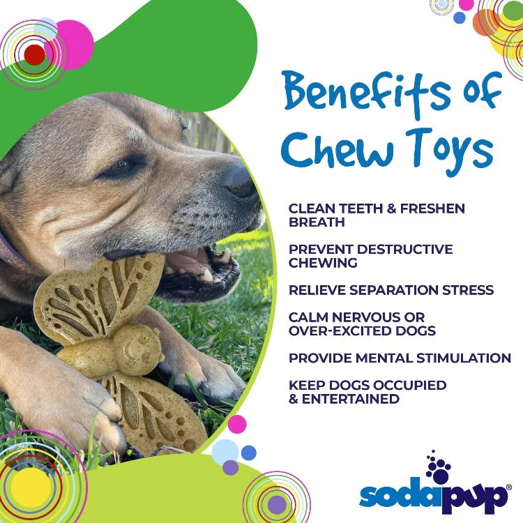 SodaPup Nylon Butterfly Dog Chew Toy Brown