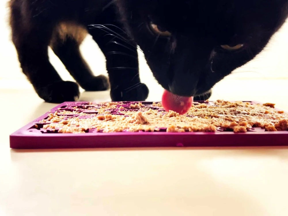 SodaPup TPE eMat Fishy Enrichment Lick Mat Plum