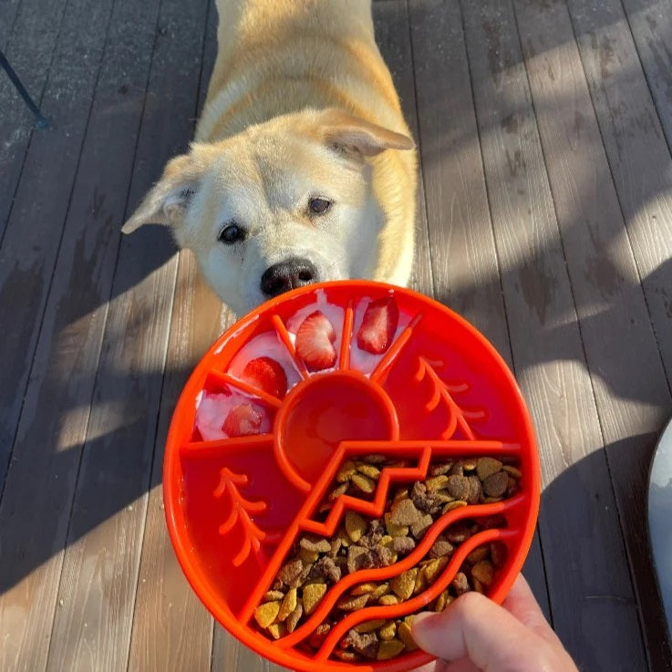 SodaPup Great Outdoors eBowl Enrichment Slow Feeder Bowl Orange 8"