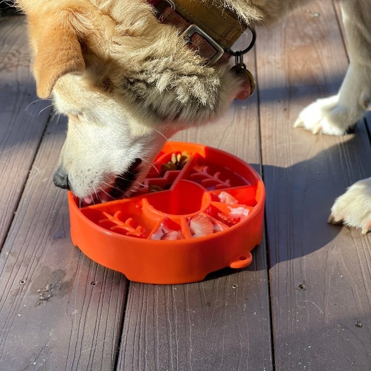SodaPup Great Outdoors eBowl Enrichment Slow Feeder Bowl Orange 8"