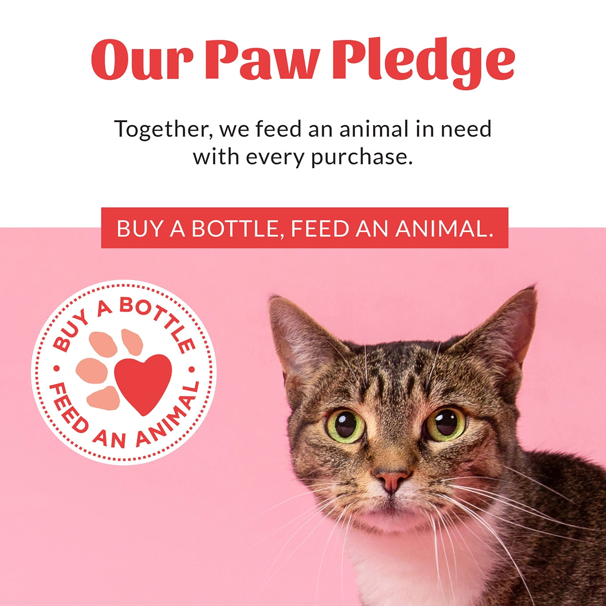 Skout's Honor Litter Box Deodorizer 35 oz