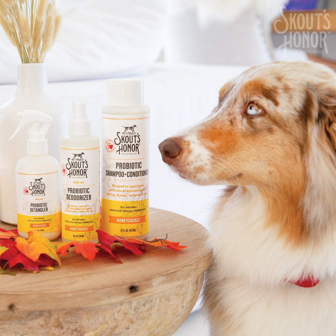 Skout's Honor Probiotic Shampoo + Conditioner Honeysuckle 16 oz