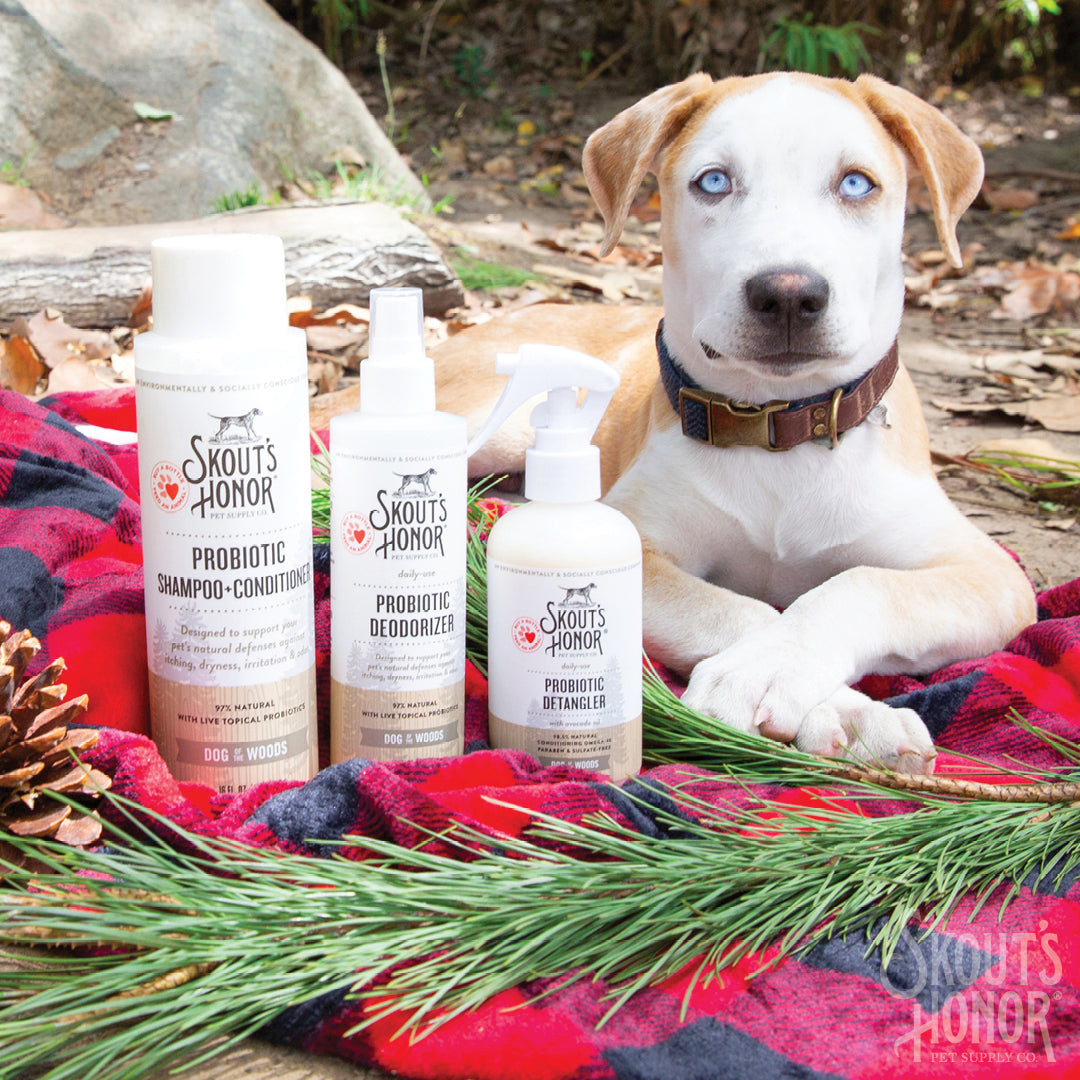Skout's Honor Probiotic Daily Use Detangler Dog of the Woods 8 oz