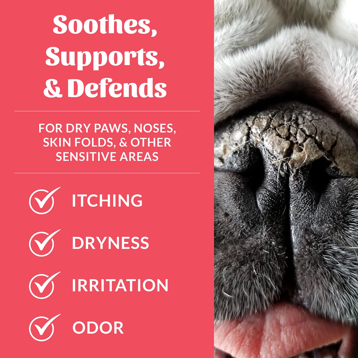 Skout's Honor Prebiotic Pet Balm 2 oz