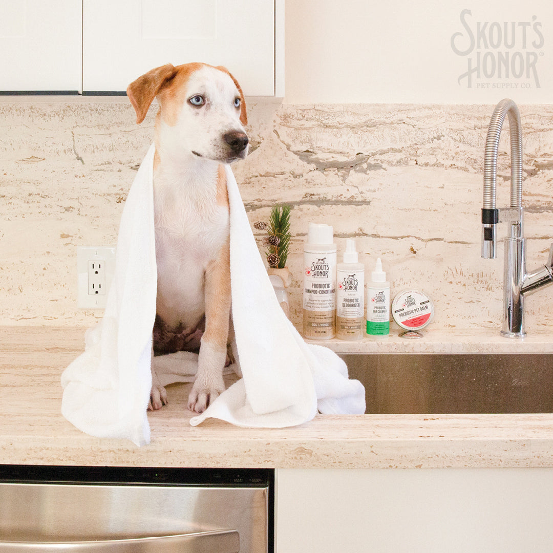 Skout's Honor Prebiotic Pet Balm 2 oz