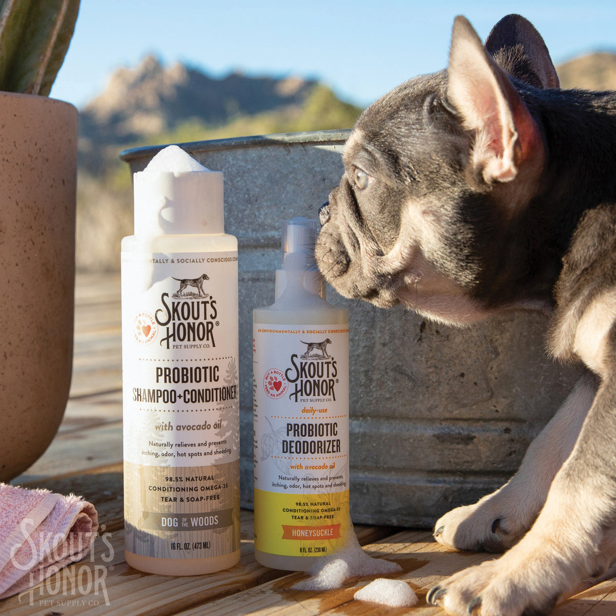 Skout's Honor Probiotic Shampoo + Conditioner Dog of the Woods 16 oz
