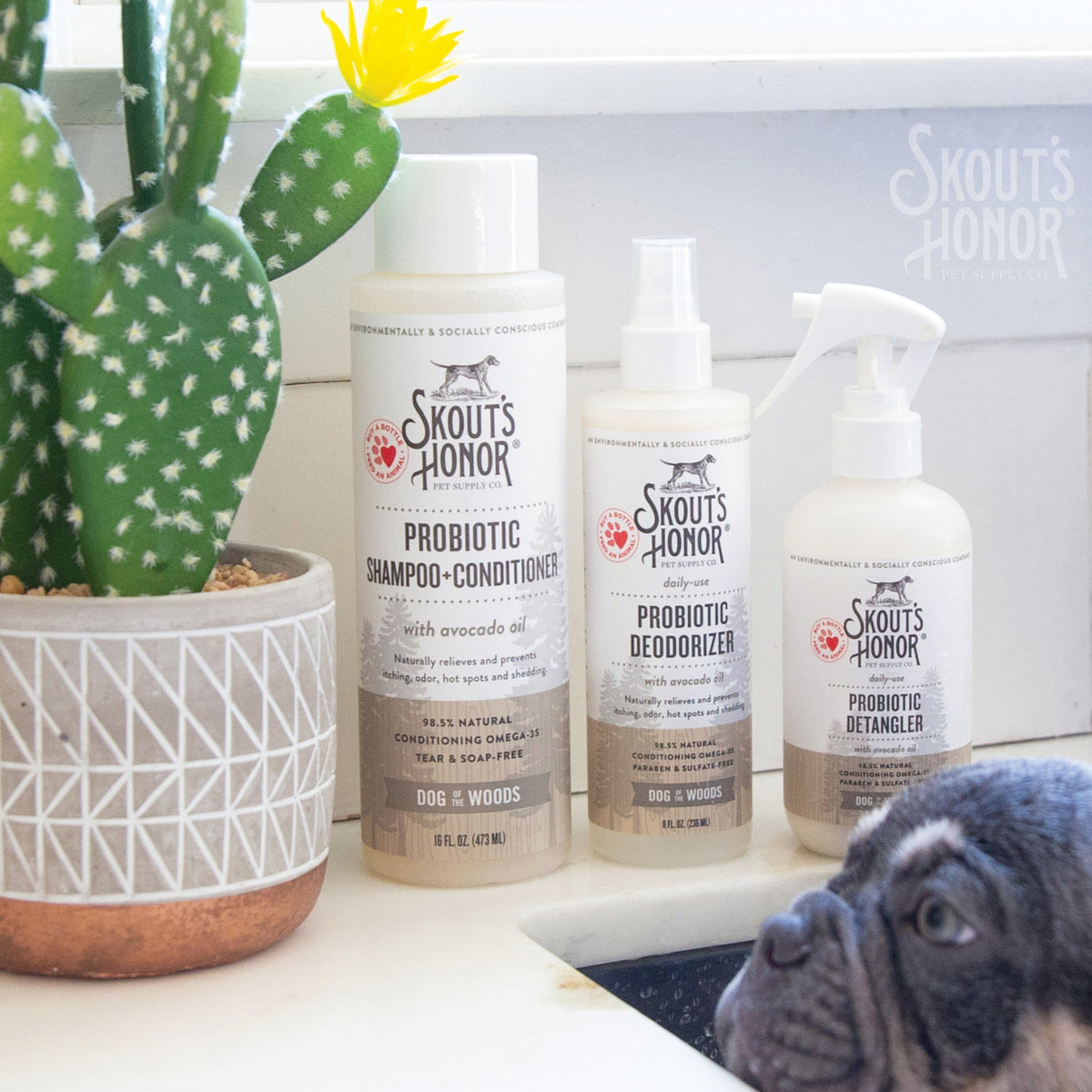 Skout's Honor Probiotic Shampoo + Conditioner Dog of the Woods 16 oz