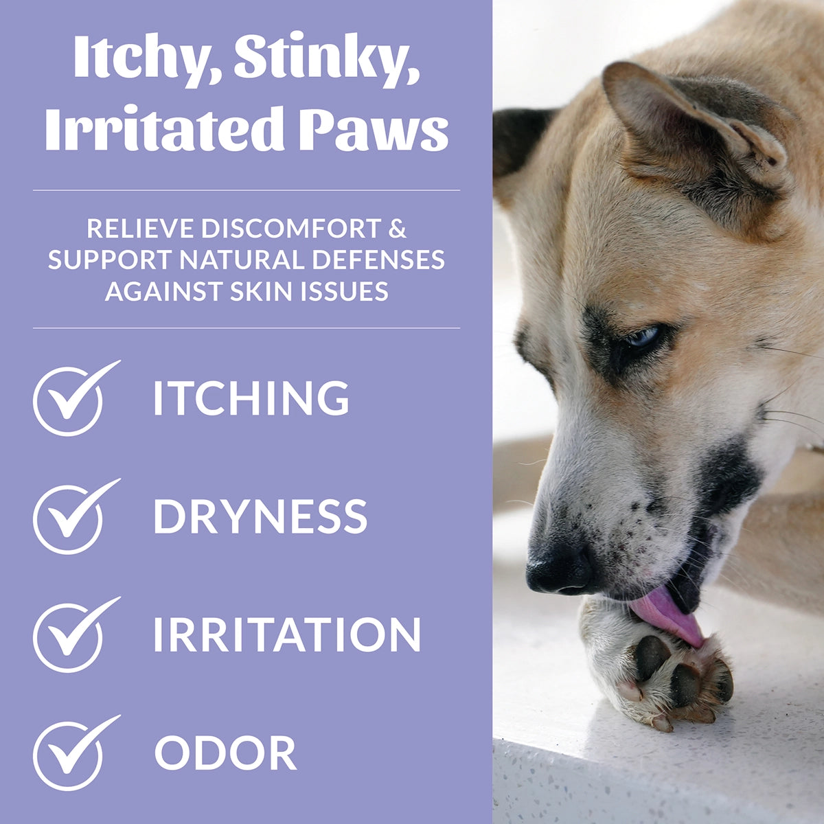 Skout's Honor Probiotic Paw Spray 8 oz