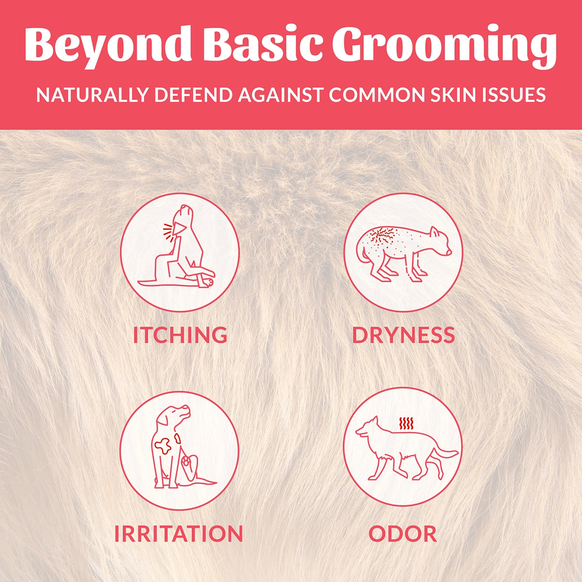 Skout's Honor Probiotic Shampoo + Conditioner Sunkissed Coconut 16oz