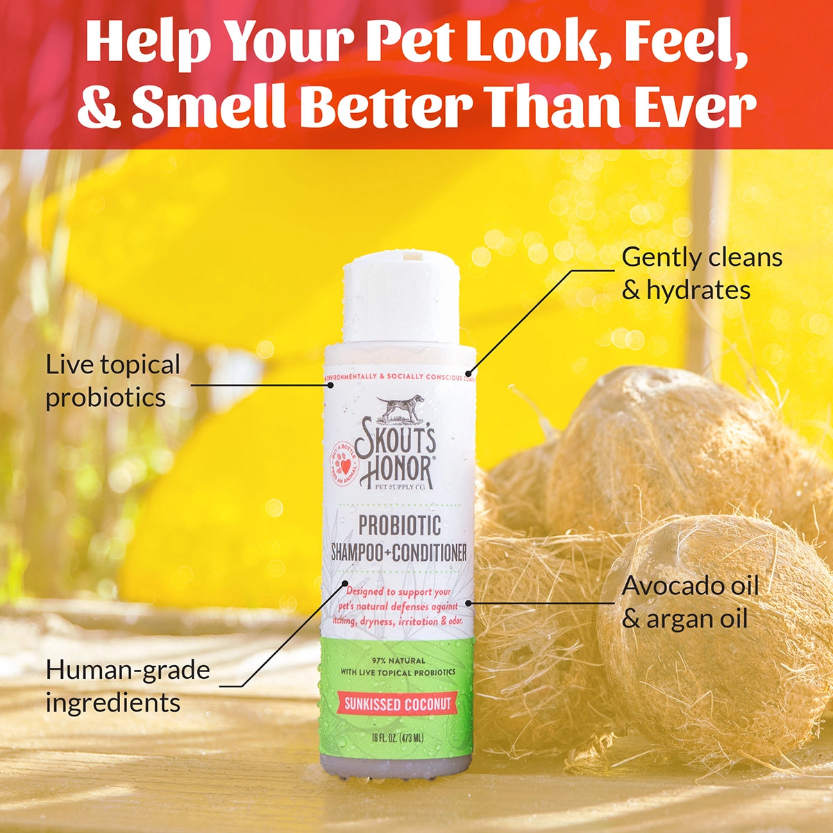 Skout's Honor Probiotic Shampoo + Conditioner Sunkissed Coconut 16oz