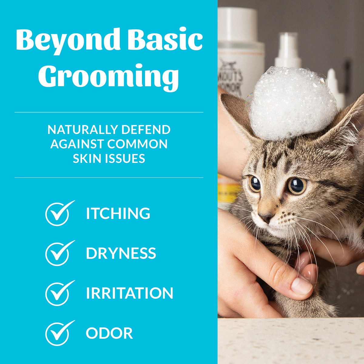 Skout's Honor Cat Probiotic Shampoo + Conditioner Fragrance-Free 16oz