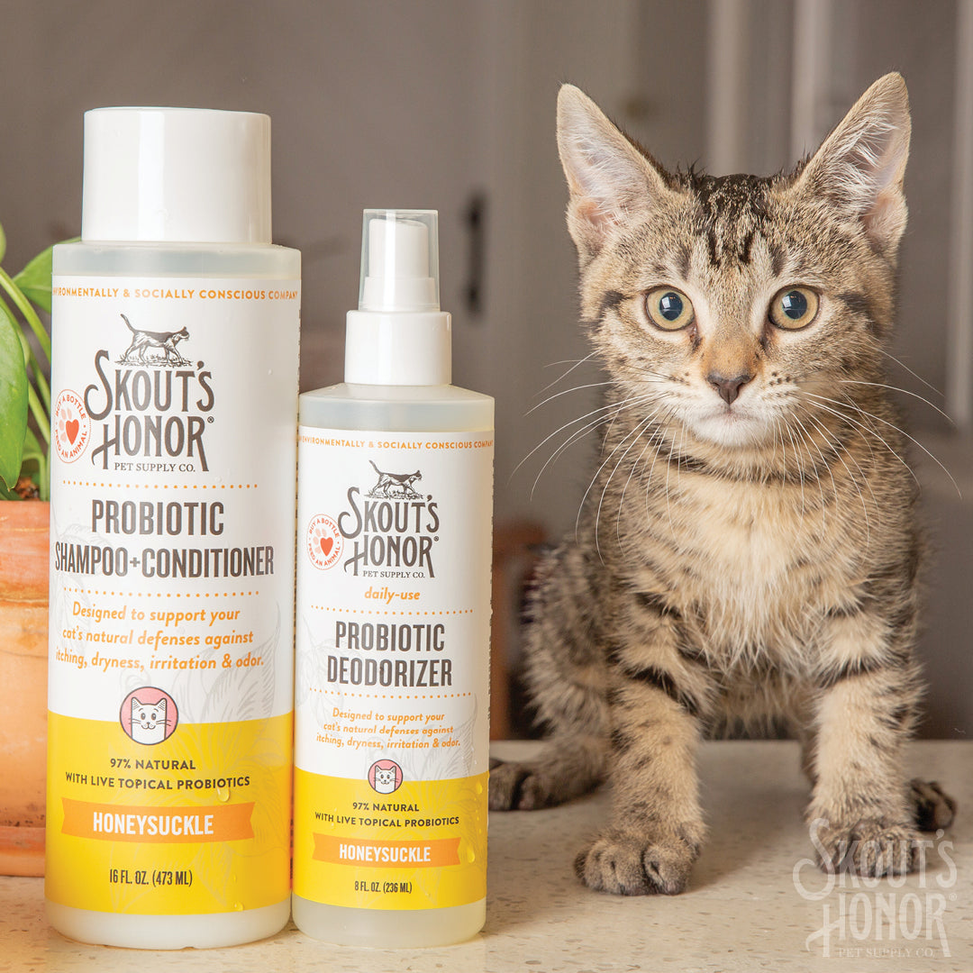 Skout's Honor Cat Probiotic Shampoo + Conditioner Honeysuckle 16oz