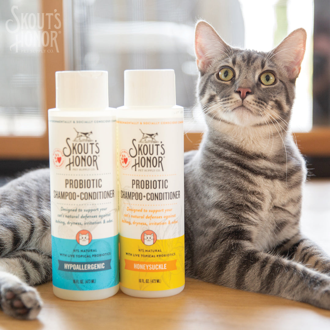 Skout's Honor Cat Probiotic Shampoo + Conditioner Honeysuckle 16oz