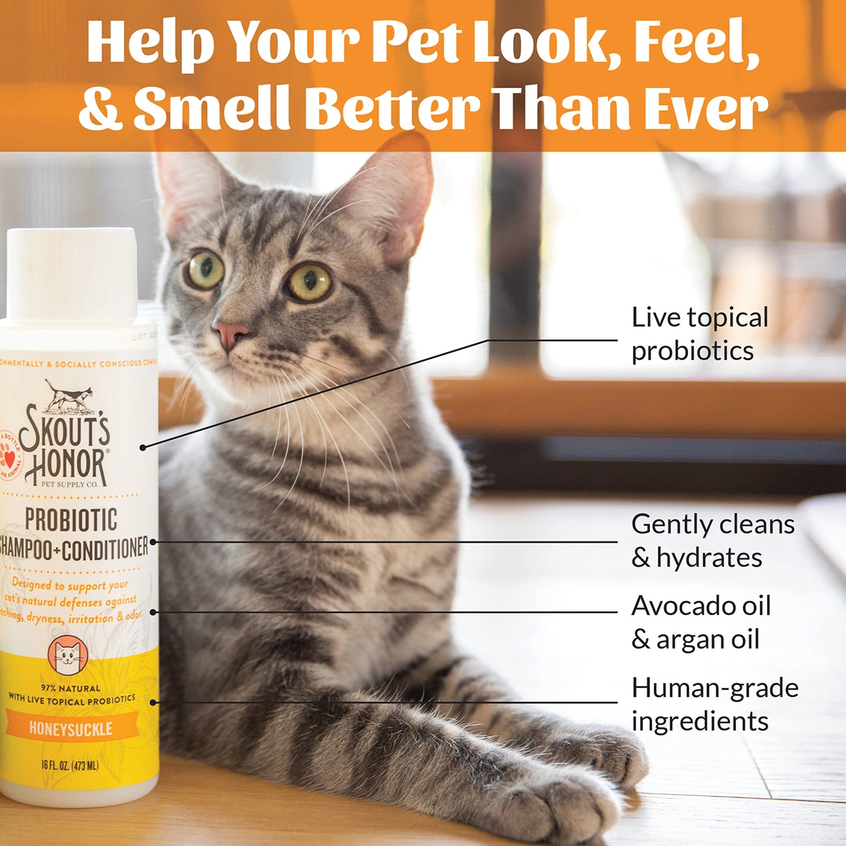 Skout's Honor Cat Probiotic Shampoo + Conditioner Honeysuckle 16oz