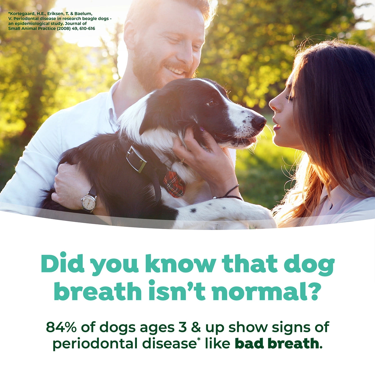 TropiClean Fresh Breath Mint Foam for Pets, 4.5oz