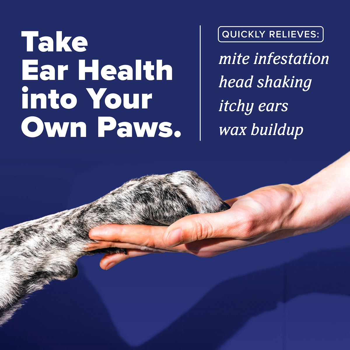 HomeVet Ear Mite Treatment, 2oz