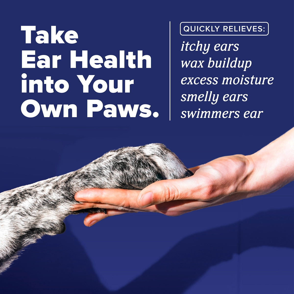 HomeVet Enzymatic Ear Wash, 4oz