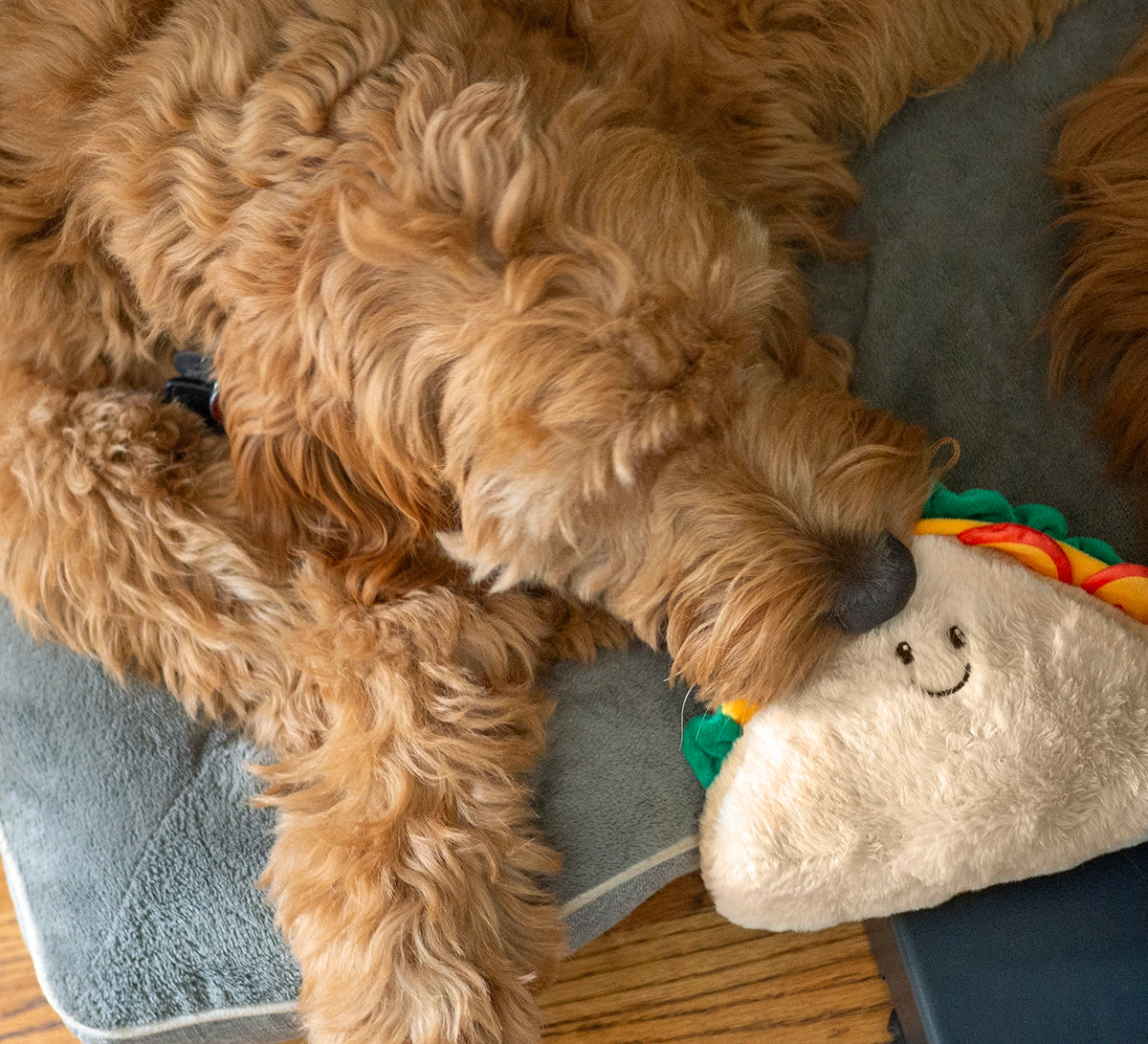 ThoozyPet Sandwich Dog Toy 8”