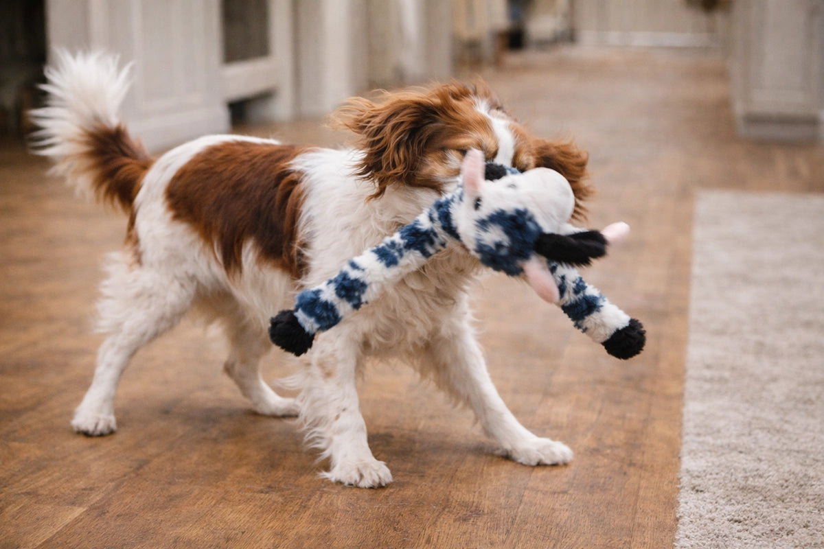 ThoozyPet Wild Tugz Cow Dog Toy 18"
