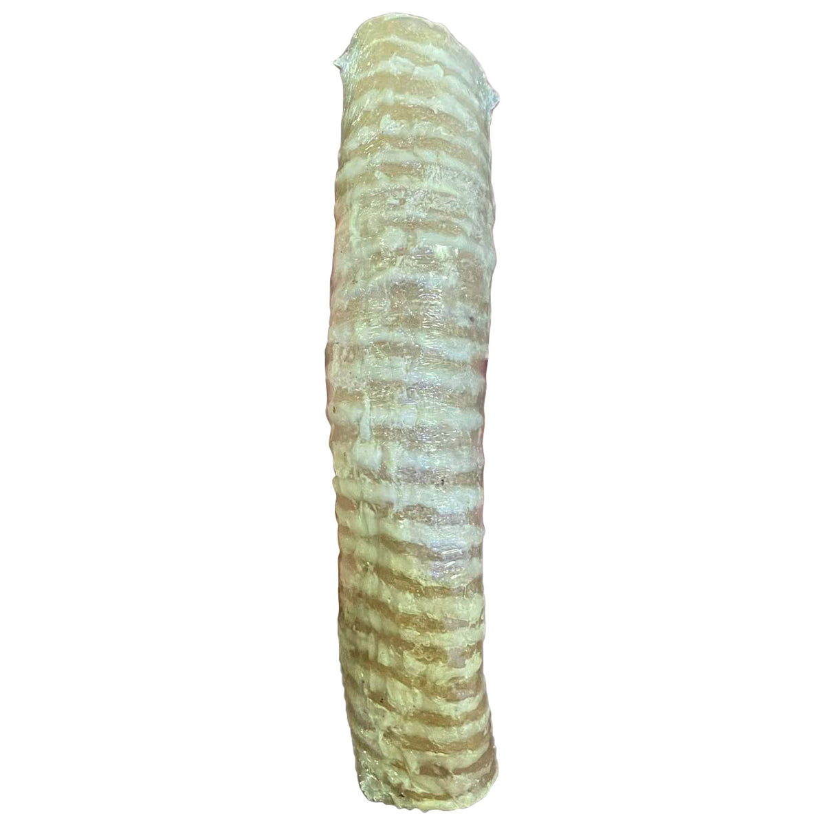 ThoozyPet USA-Sourced Beef Trachea Dog Chews 9-11" 10ct