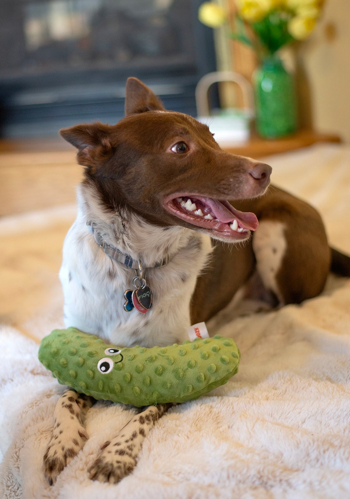 ThoozyPet Pickle Plush Dog Toy 10"