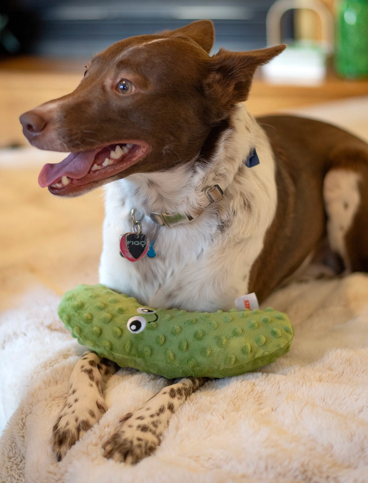 ThoozyPet Pickle Plush Dog Toy 10"