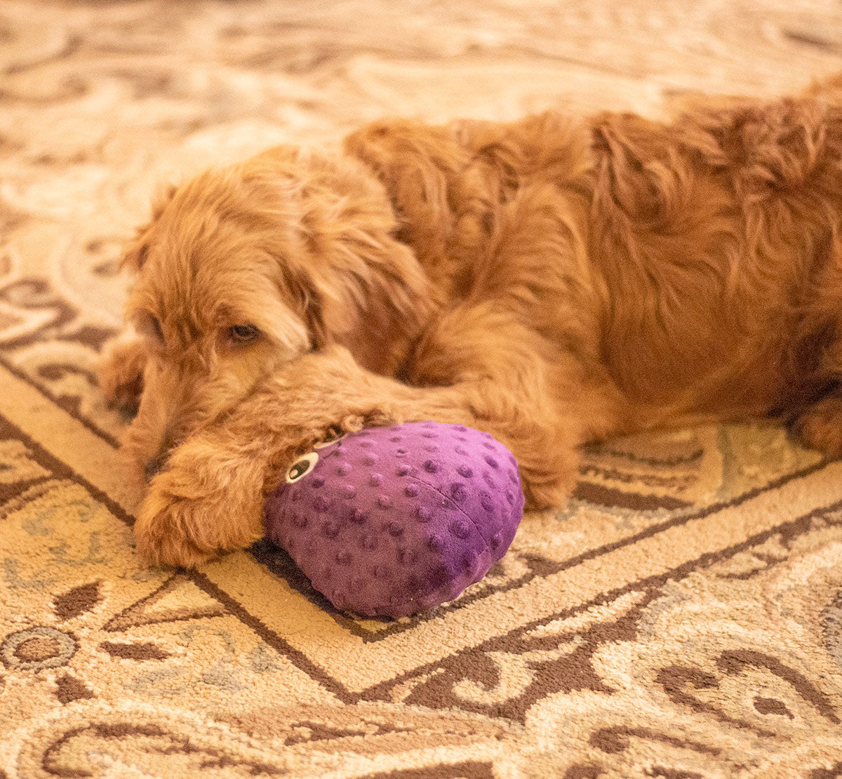 ThoozyPet Eggplant Plush Dog Toy 10"