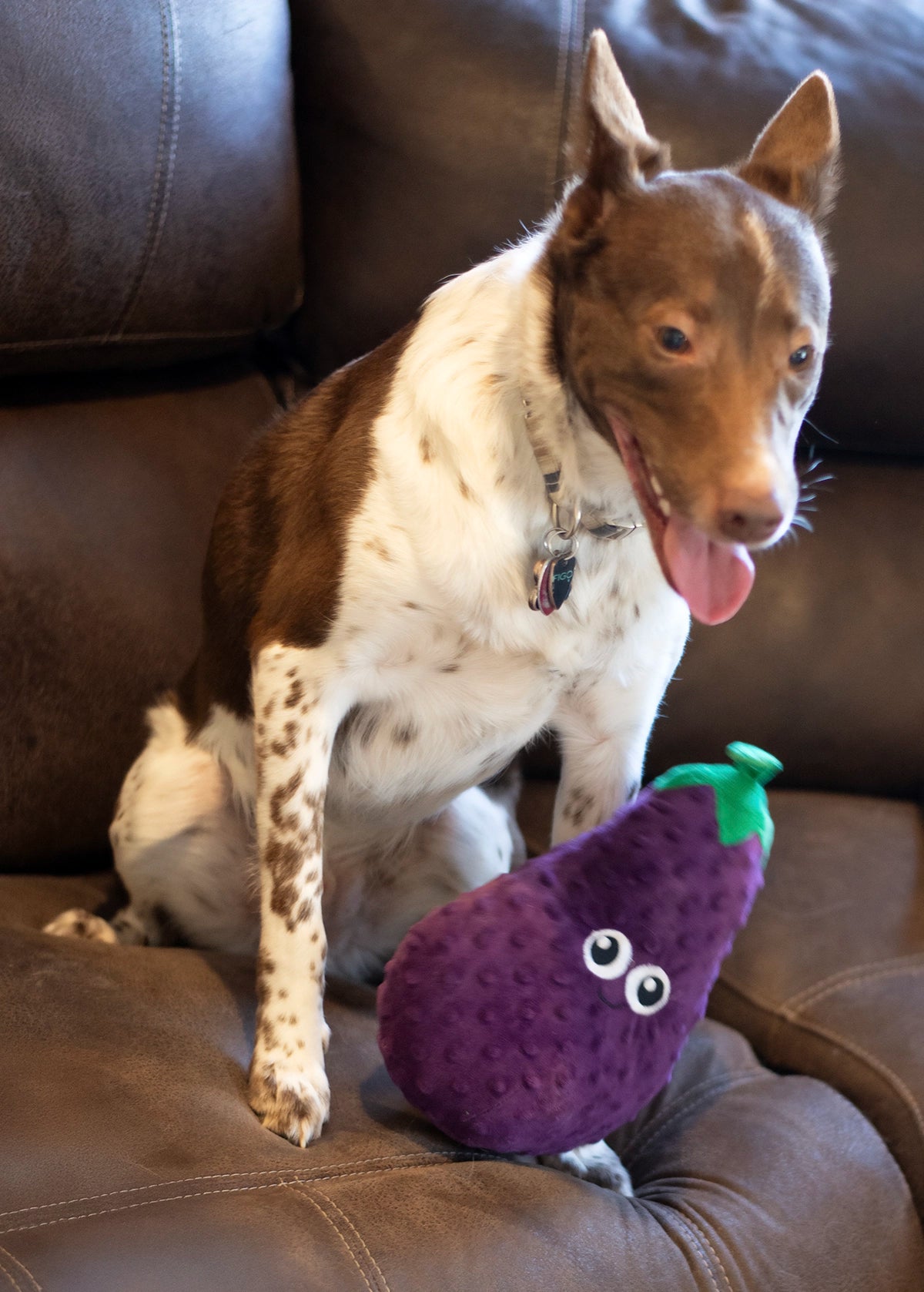 ThoozyPet Eggplant Plush Dog Toy 10"