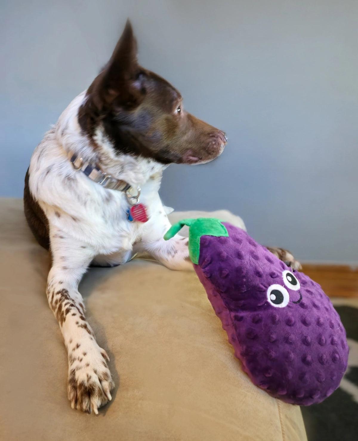 ThoozyPet Eggplant Plush Dog Toy 10"