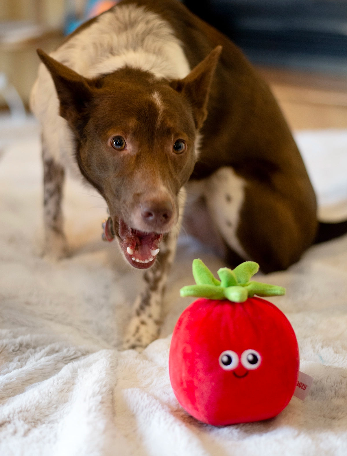 ThoozyPet Tomato Plush Dog Toy 5.5"